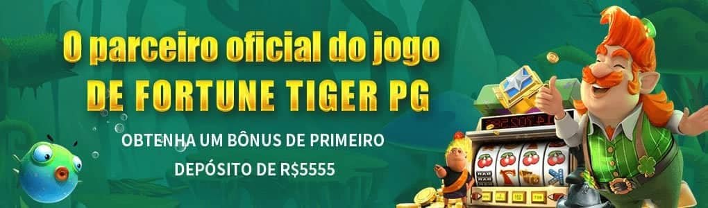 kayaqq Dragon Tiger